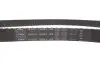 Комплект ГРМ Ford Transit Connect 1.8 16V/Focus/Mondeo 1.8/2.0 16V 02-13 (25,4x129z) SKF VKMA 04214 (фото 7)