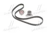 Комплект ГРМ Ford Mondeo IV 2.5 (BA7), 03/07 - 01/15, 162kw SKF VKMA06038 (фото 1)