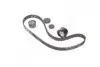 Комплект ГРМ Renault Laguna II/Megane III 1.8/2.0 01- SKF VKMA 06104 (фото 3)