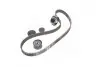 Комплект ГРМ Renault Laguna II/Megane III 1.8/2.0 01- SKF VKMA 06104 (фото 4)