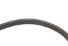 Комплект ремня генератора Renault Kangoo 1.5 dCi 01- (5PK1135) SKF VKMA 36036 (фото 3)