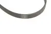 Комплект ремня генератора Renault Kangoo 1.5 dCi 01- (5PK1135) SKF VKMA 36036 (фото 4)