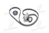 Комплект ремня генератора Renault Clio,Kangoo,Laguna,Megane,Scenic 1.4/1.6 SKF VKMA 36209 (фото 1)