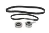 Комплект ГРМ Honda Accord IV/V 1.9-2.2i -98 SKF VKMA 93600 (фото 2)