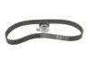 Комплект ГРМ FORD RANGER &quot;99-02\&#039; SKF VKMA 94616 (фото 1)