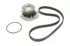 Комплект ГРМ + насос VW Golf/Jetta/Polo 86-97 (19x128z) SKF VKMC01103 (фото 1)