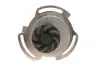 Комплект ГРМ + насос VW Golf/Jetta/Polo 86-97 (19x128z) SKF VKMC01103 (фото 5)