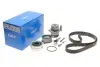 Комплект ГРМ + насос Skoda Octavia/VW Golf IV 1.9 TDI 96-05 (25x141z) SKF VKMC 01130 (фото 2)