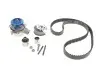 Комплект ГРМ + насос Audi A3/A4/A5/A6/Q3/VW Caddy/T6 2.0TDI 15-/Golf VII 1.6TDI/2.0TDI 12- (25x145z) SKF VKMC 01278-1 (фото 1)