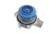 Комплект ГРМ + насос Audi A3/A4/A5/A6/Q3/VW Caddy/T6 2.0TDI 15-/Golf VII 1.6TDI/2.0TDI 12- (25x145z) SKF VKMC 01278-1 (фото 9)