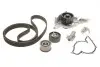 Комплект ГРМ + помпа Audi A4/A6/ VW Passat 2.4/2.8 V6, 95-05 (30x253z) SKF VKMC 01903-1 (фото 1)