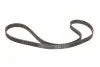 Комплект ГРМ + насос Fiat Brava/Bravo/Doblo/Palio/Punto/Stilo 1.9D/JTD 01- (24x190z) SKF VKMC 02192 (фото 3)