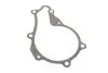Комплект ГРМ + насос Citroen Berlingo/Peugeot Partner 1.6HDI (z=137) SKF VKMC 03259 (фото 12)