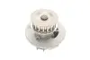 Комплект ГРМ + помпа DAEWOO/OPEL Espero/AstraFG/Combo/CorsaAB/KadettE/VectraAB "1,2-1,6" 86-05 SKF VKMC 05121 (фото 8)