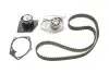 Комплект ГРМ + помпа Renault Megane/Scenic/Grand Scenic 1.9 dCi 09- (133x26) SKF VKMC06008 (фото 1)