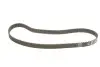 Комплект ГРМ + помпа NISSAN/OPEL/RENAULT Primastar/Movano/Masterr/Laguna "1,9-2,0D" 95>> SKF VKMC 06127 (фото 2)