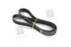 Ремень поликлин. SKF VKMV6PK1117 (фото 1)