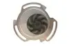 Насос воды Seat Cordoba/Ibiza/VW Golf/Polo 1.0i/1.3i/1.4i/1.6i 82-02 SKF VKPC 81204 (фото 3)