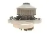 Насос воды Seat Cordoba/Ibiza/VW Golf/Polo 1.0i/1.3i/1.4i/1.6i 82-02 SKF VKPC 81204 (фото 4)