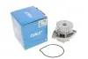 Насос воды Seat Corodba/Ibiza/VW Caddy/Polo 1.0i/1.4 96-02 (27z) SKF VKPC 81215 (фото 4)