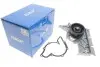 Насос води Audi A4/A6/A8 3.0/3.0quattro 01-06 SKF VKPC 81304 (фото 2)