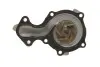 Насос воды Ford C-Max II/Focus III/Mondeo V/Fiesta/Transit Courier 1.0 EcoBoost/1.1 12- SKF VKPC 84219 (фото 3)