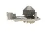 Насос воды Renault Kangoo/Megane/Clio 1.4/1.4i/1.4e 96- SKF VKPC 86216 (фото 5)