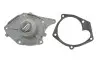 Насос воды Renault Kangoo/Megane/Scenic/Clio 1.5dCi 01- SKF VKPC 86417 (фото 1)