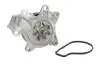 Водяний насос TOYOTA RAV 4 IV (A4) 2.0 4WD 2012 - SKF VKPC 91866 (фото 1)