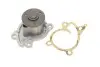 Насос воды Renault Clio/Scenic/Megane/Kangoo/Nissan Qashqai/Juke 0.9-1.2-1.4TCe/1.6 09- SKF VKPC 92939 (фото 1)