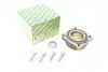 Подшипник ступицы (задней) BMW X3 (F25) 10-17 N20/N47/N52/N57 SNR NTN R150.53 (фото 1)