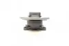 Подшипник ступицы (задней) Mini Cooper 01-06 SNR NTN R162.53 (фото 6)