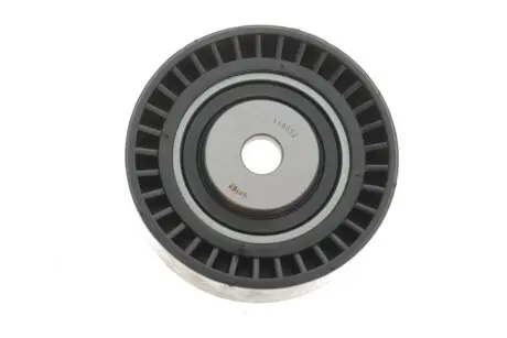 Ролик генератора BMW/VW (паразитний) (70x24.5х10) Solgy 110052