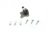 Опора кульова (передня/знизу/R) Audi A3/VW Golf IV 1.6/1.9TDI 97-06 Solgy 203017 (фото 1)
