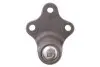 Опора шаровая (передняя/снизу) Citroen Berlingo/Peugeot Partner 1.8i/1.9D 96-08 Solgy 203019 (фото 3)