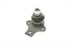 Опора кульова (передня/знизу) VW Caddy II 1.4/1.9TDI 95-01 (d=19mm) Solgy 203051 (фото 1)