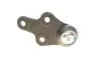 Опора шаровая (передняя/снизу) Ford Focus II 1.4-2.0TDCi 04-12/C-Max 07-10/Volvo C30/C70/S40 -02/06 Solgy 203091 (фото 9)
