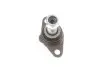 Опора кульова (передня/знизу) BMW X3 (E83) 03-11 Solgy 203129 (фото 8)