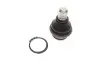 Опора шаровая (передняя/снизу) Nissan Navara/Pathfinder 04-14 Solgy 203156 (фото 1)