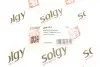 Важіль підвіски (задній/знизу) (R) Audi A3/Skoda Octavia/SuperB/VW Golf/Passat/Touran/Tiguan 03- Solgy 204104 (фото 3)