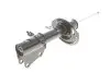 Амортизатор (передній) Renault Kangoo 08- R15/16 (maxi baza) (цапфа 36mm) (d22mm D51mm) (Газ) Solgy 211045 (фото 9)