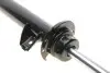 Амортизатор (передний) BMW 3 (E90/E91/E92/E93) 05-13 (L) M47/N43/N45/N46/N47/N52 Solgy 211239 (фото 6)