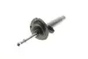 Амортизатор (передний) BMW 3 (E46) 98-05 (R) M43/M47 Solgy 211245 (фото 3)