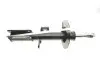 Амортизатор (передний) BMW X5 (E53) 00-(L) M54/M57/M62/N62 Solgy 211279 (фото 4)
