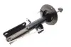 Амортизатор (передний) BMW X5 (E53) 00-(R) M54/M57/M62/N62 Solgy 211280 (фото 1)
