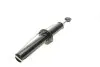 Амортизатор (передний) BMW X5 (E70)/X6 (E71/E72) 07-14 M57/N52/N55/N57/N63 Solgy 211282 (фото 1)
