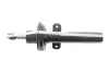Амортизатор (передній) Ford Mondeo III 00-07 (Gas) Solgy 211332 (фото 5)