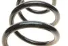 Пружина (передня) Opel Vivaro 1.9DTI/2.0 16V/Renault Trafic 1.9dCi/2.0/16VdCi/Nissan Primastar 01- Solgy 212059 (фото 4)