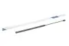 Амортизатор крышки багажника Ford Focus 03-07 STABILUS 012158 (фото 1)
