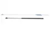 Амортизатор крышки багажника Ford Fusion 1.25/1.4/1.6 TDCi 04-12 STABILUS 012559 (фото 1)
